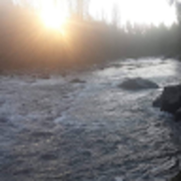 Meet your Posher, Jesse - Picture 1 of 1